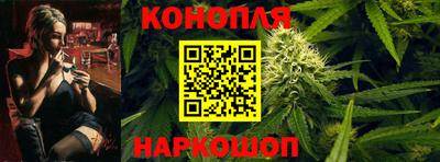 Альфа ПВП Будённовск