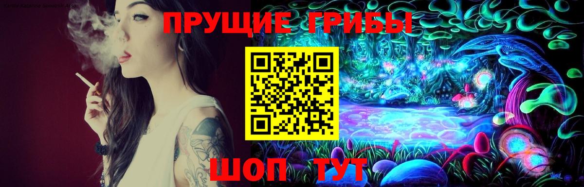 Орёл  Галлюциногенные грибы прущие грибы  Вход с VPN 